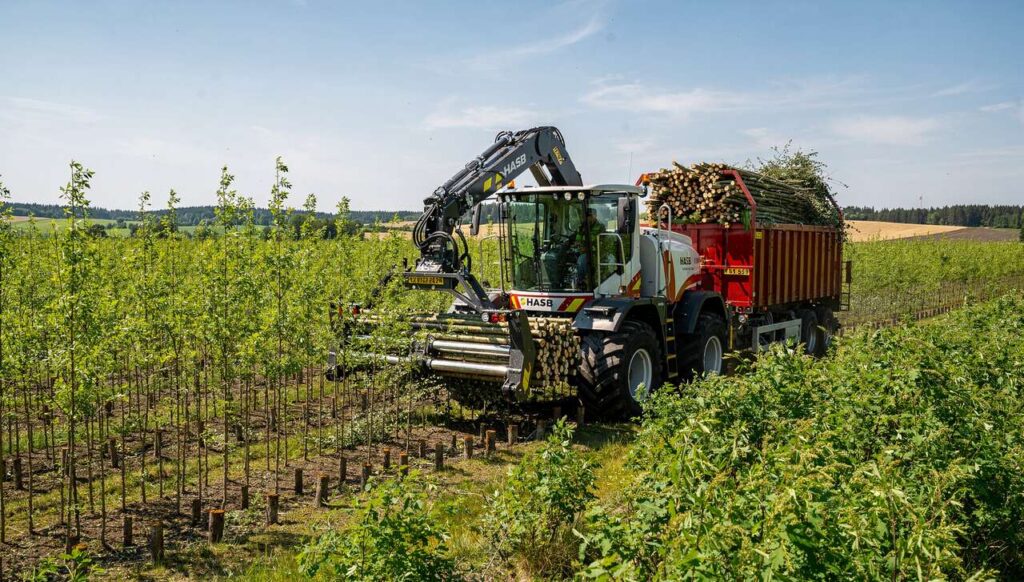 Schnelle Technik: Kurzumtriebsplantagen ernten mit HASB-Häcksler aus Schweden