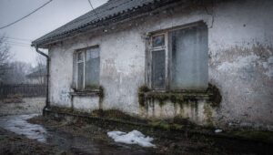 Schimmel nach dem Winter: Umweltbundesamt aktualisiert seinen Leitfaden für 2026