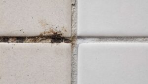 Fugenstift oder Fugenfarbe? Stiftung Warentest zeigt, was bei schwarzen Fugen besser hilft